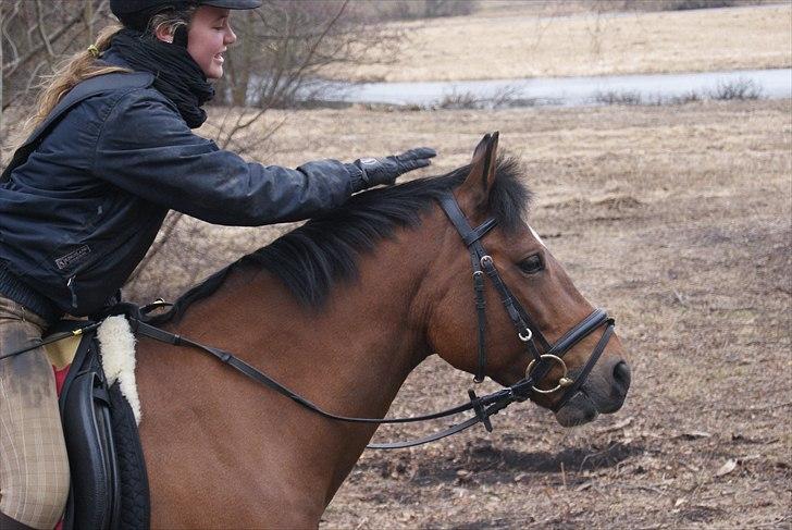 New Forest Marron (PART) - I mosen :) billede 17