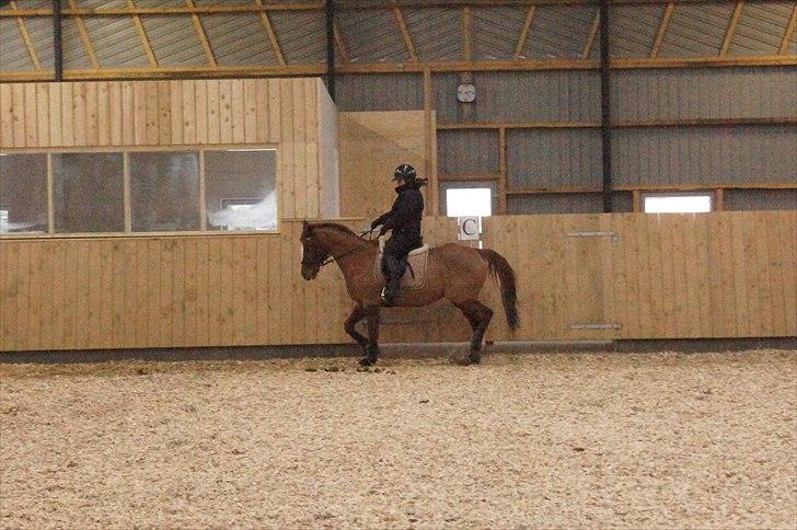 Anden særlig race chantal billede 1