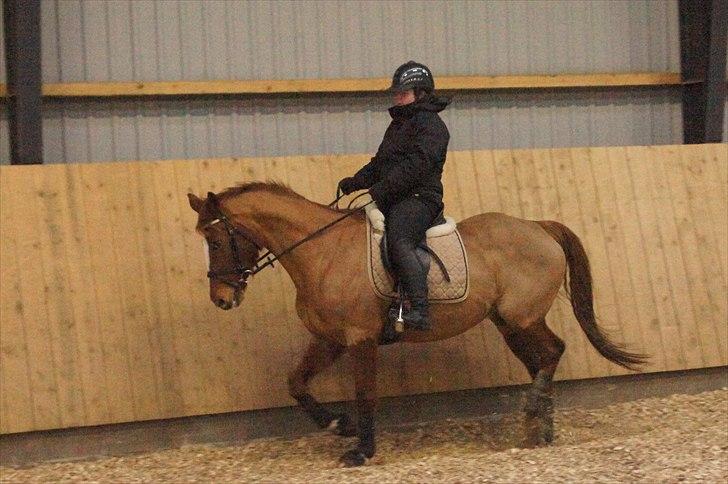 Anden særlig race chantal billede 2