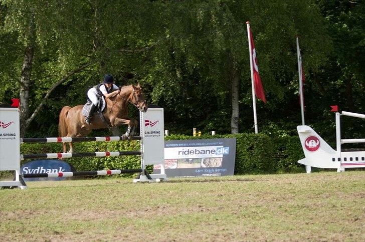 Tysk Sportspony Vario Van De Mispelaere<3 *B-pony* - Min første MB2** på Vario :) 1.plads og var den eneste der var 0 i hovedrunden og omspri... :D<33

Billed:2  billede 2