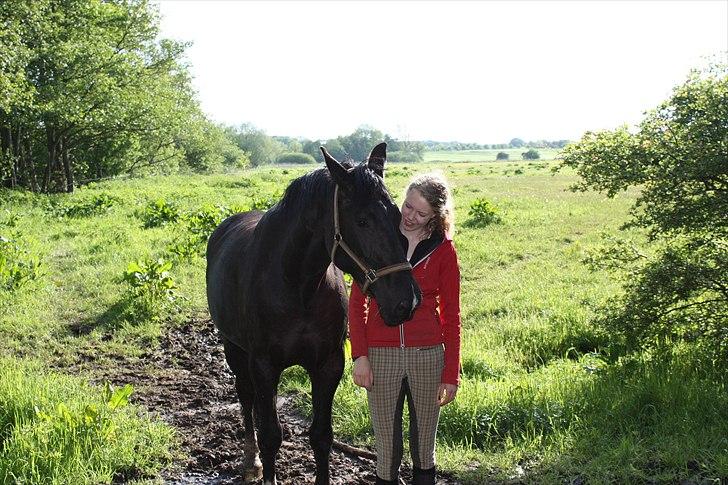 Anden særlig race Amigo R.I.P <3 - Den sidste dag... Amigo du er elsket og savnet til evig tid :´( <3 Din dejlige dreng billede 20
