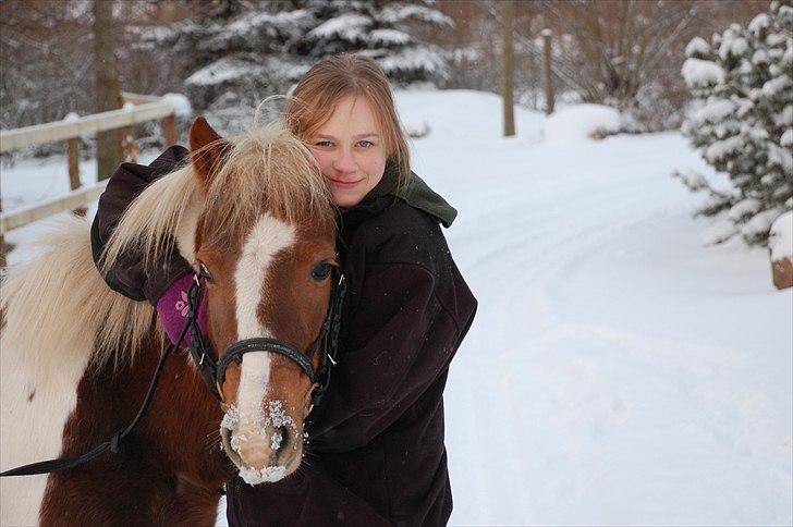 Pinto Zilja "Kaki" - Velkommen hos Kaki billede 1