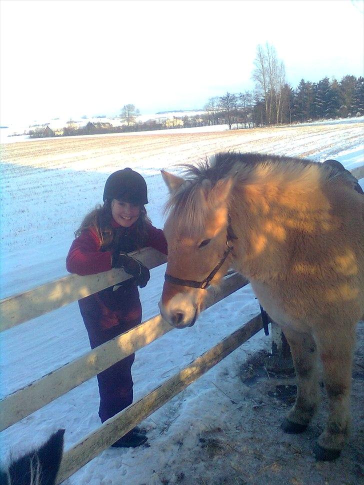 Fjordhest Lukas - Min grandkusine Laura og Lukas<3 
I er dejlige<3 billede 12