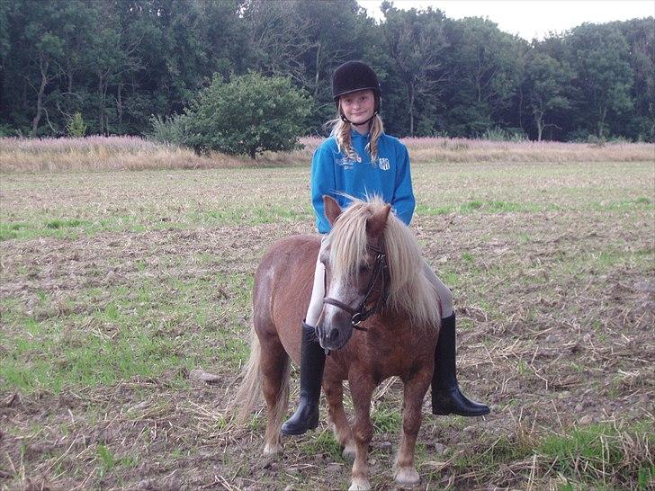 Anden særlig race Ringostar ( Rikke )<3 - du viste mig hvem du var... billede 11