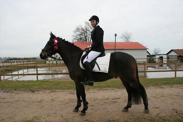 New Forest Holmens Kazai - vores første spring stævne :) billede 4