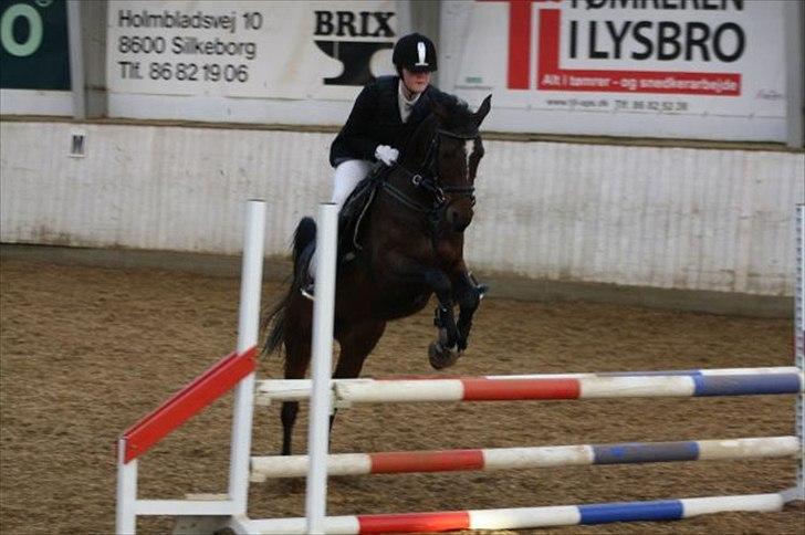 Fuldblod (XX) Zorajah - lc-lb på sir  billede 13