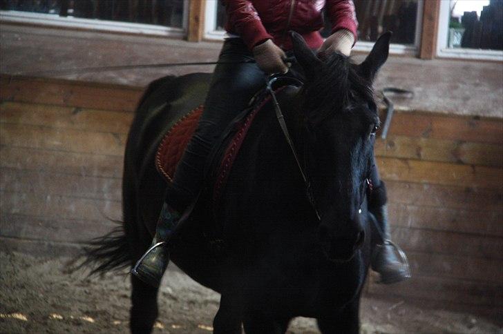 Anden særlig race Donhill  ( x-Part :'( ) - Ridning på en af de bedre dage - cowboybukser og hans eget hovedtøj.. det gik fint :D <3 [ foto: ECS ] billede 15