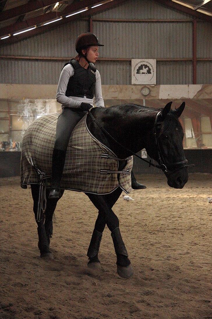 Anden særlig race Donhill  ( x-Part :'( ) - Du fantastisk også uden sadlen! :-)) [ foto: far ] billede 16