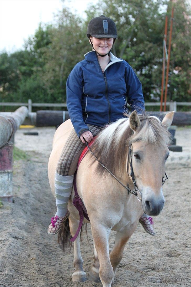 Fjordhest Tabita - Sommer 10 billede 9