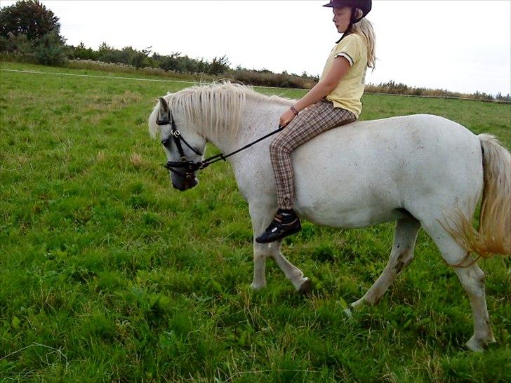 Anden særlig race Coco Chanel billede 2