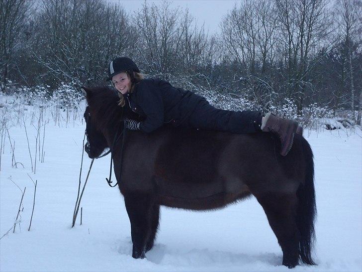 Anden særlig race Sputnik - Vi kan alt sammen! :D billede 13