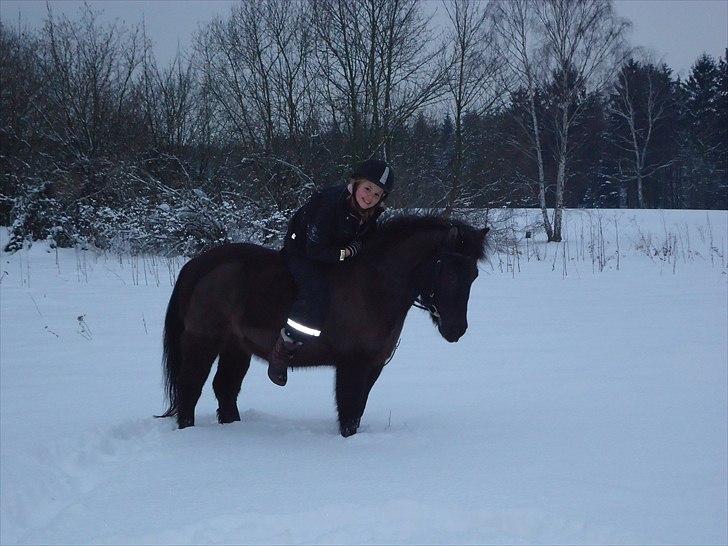 Anden særlig race Sputnik - Du gør min hverdag meget bedre! <3 billede 14