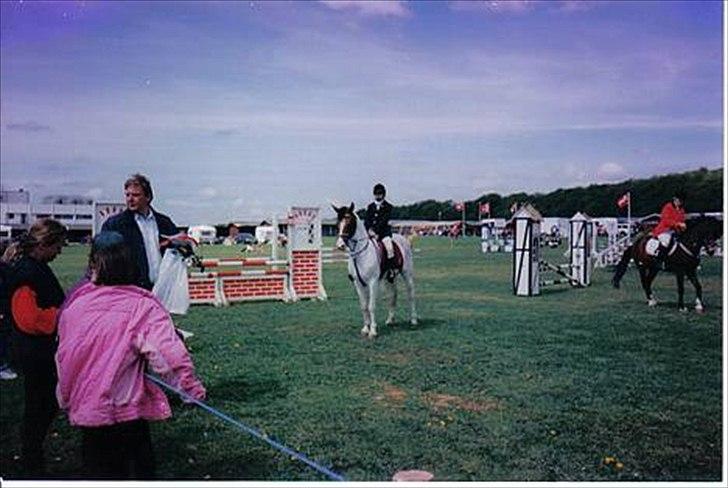 Pinto .... pinto... + 2011+ billede 20