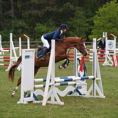 Anden særlig race Suspicious Firefly Flip SOLGT