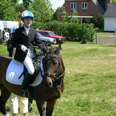 Svensk Varmblod veronica (død)