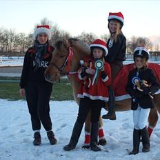 Anden særlig race Hestediscounts Perle 