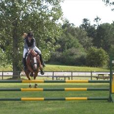 Anden særlig race Rosengårdens Papaya