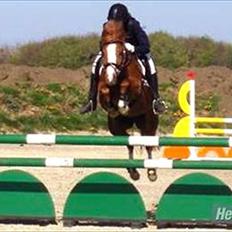 Anden særlig race Rosengårdens Papaya