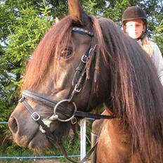 Anden særlig race Skipper Skræk