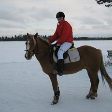Anden særlig race Oliver (RIDER)