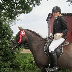 Anden særlig race Picasso 