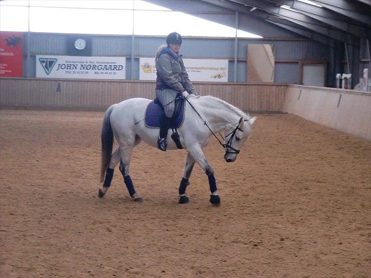 Anden særlig race Smilla  billede 6