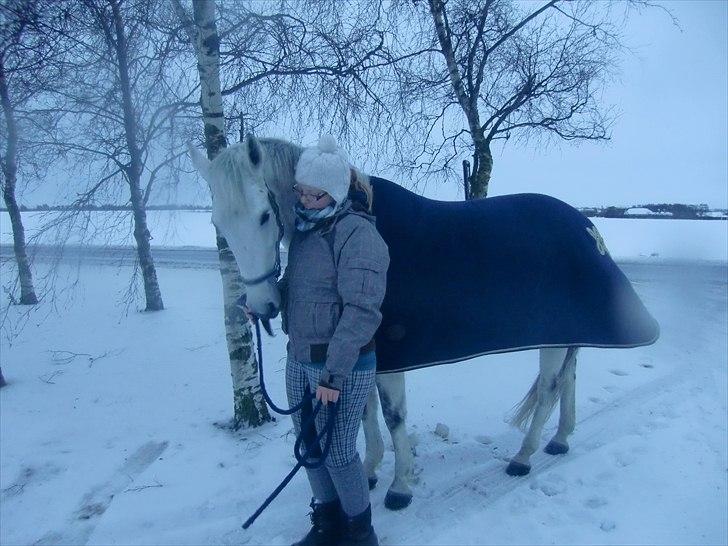 Anden særlig race Smilla  billede 11