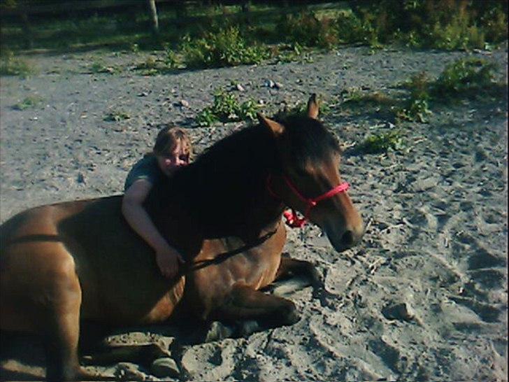 Anden særlig race Zafira  "solgt" - du er bare så dejlig <33 billede 6