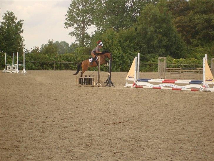 Anden særlig race Zafira  "solgt" - Nu kommer indianeren i fuld fart billede 7