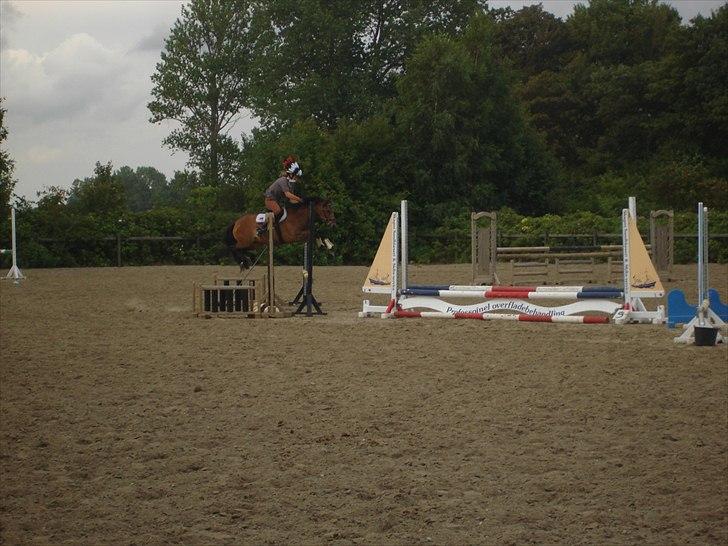 Anden særlig race Zafira  "solgt" - hov der var et spring billede 9