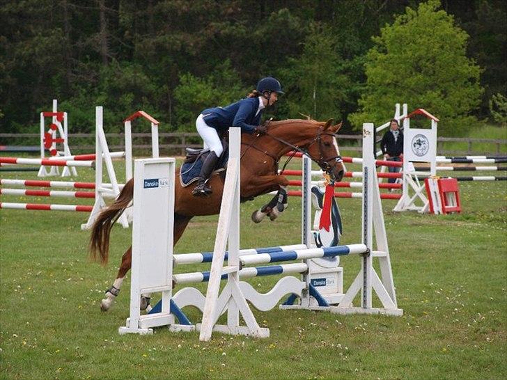 Anden særlig race Suspicious Firefly Flip SOLGT billede 1