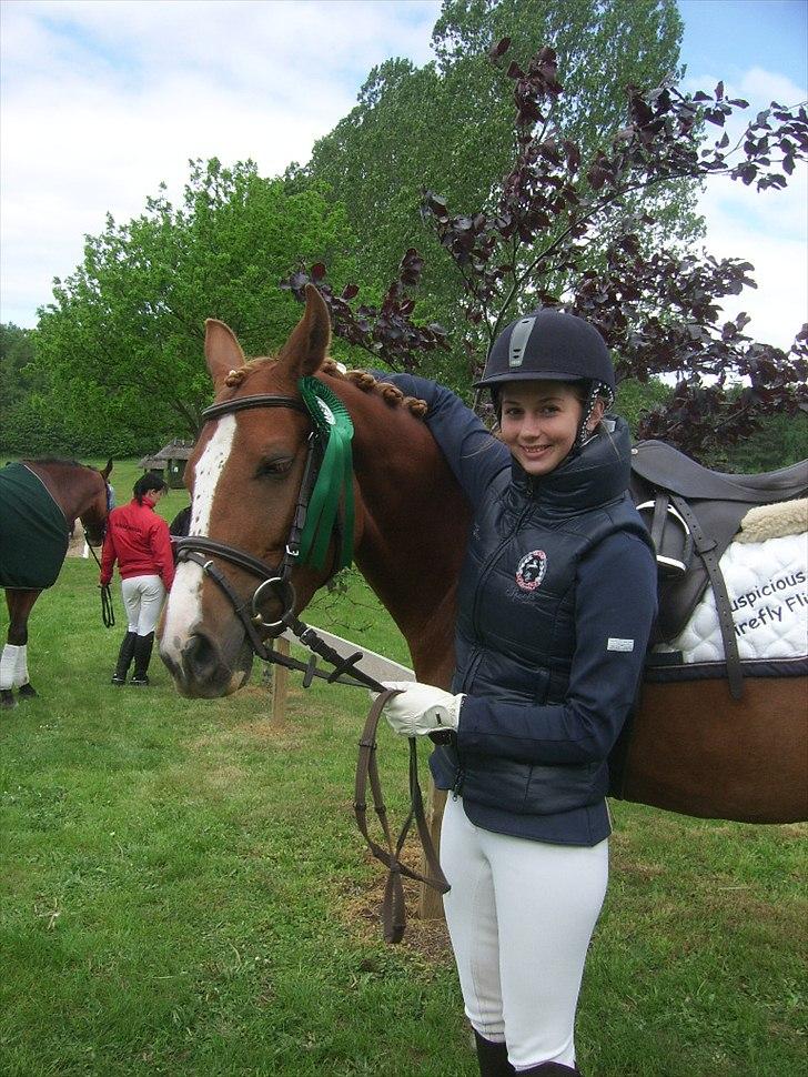 Anden særlig race Suspicious Firefly Flip SOLGT - 66.09% i LC2 til hendes første dressurstævne, nr. 5 af 22 billede 3