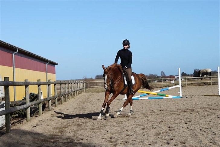 Anden særlig race Suspicious Firefly Flip SOLGT billede 4