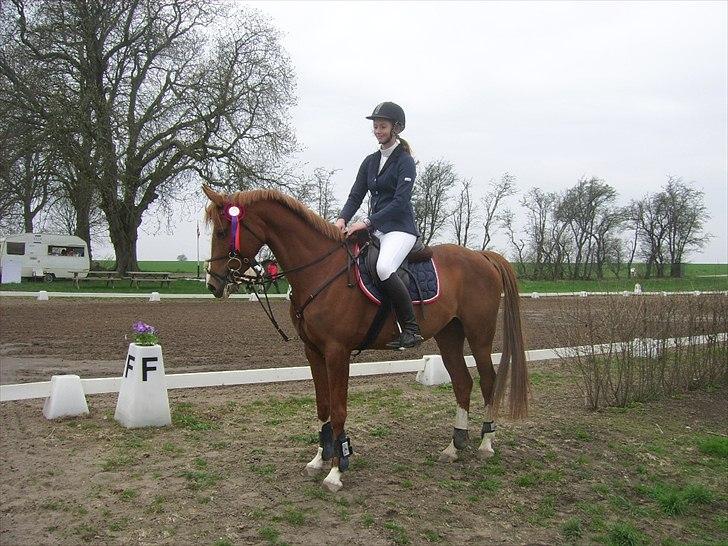 Anden særlig race Suspicious Firefly Flip SOLGT billede 5