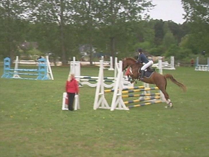 Anden særlig race Suspicious Firefly Flip SOLGT billede 6