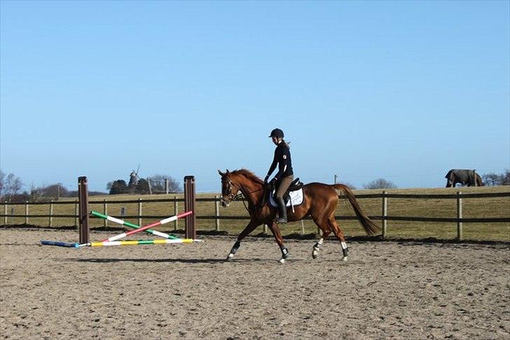 Anden særlig race Suspicious Firefly Flip SOLGT billede 7