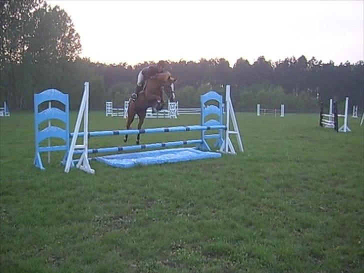 Anden særlig race Suspicious Firefly Flip SOLGT billede 8