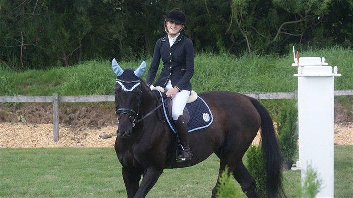 Holstener Fantaghiro' *solgt* - hendes første stævne :) LB i TØRK billede 5