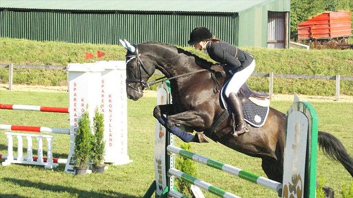 Holstener Fantaghiro' *solgt* - hendes første stævne :) LC i TØRK billede 9