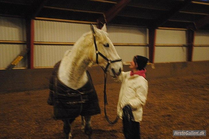 Lipizzaner Dragon - Mig og min skønne baby <3 Januar 2011 billede 9