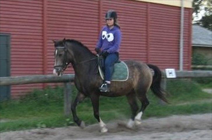 Anden særlig race Solly - Billede af Stine Slagstrup :D billede 12