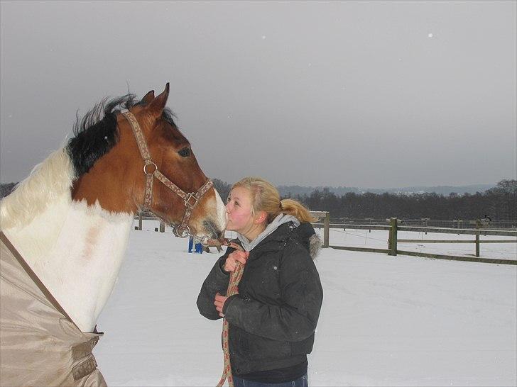 Pinto Moon Star - Mig og moon star i sneen<3  billede 7