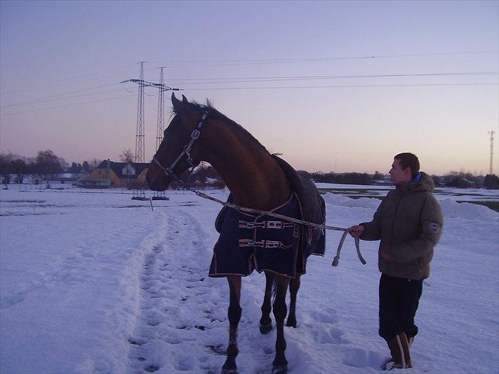 Holstener Rocco billede 13