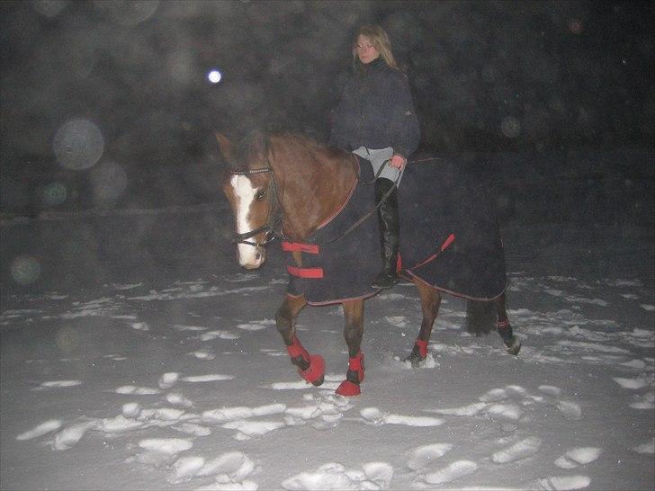 Anden særlig race Hector R.I.P billede 16