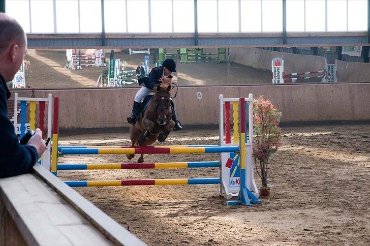 Tysk Sportspony Vario Van De Mispelaere<3 *B-pony* - <3333

Billed: 9 billede 6