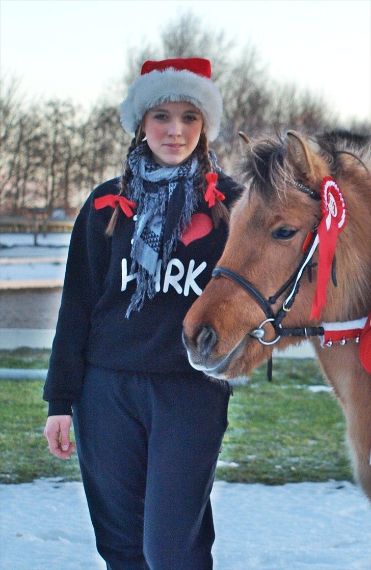 Anden særlig race Hestediscounts Perle  - Velkommen til Perles profil(: Her er perle og jeg, med emilies roset:D billede 1