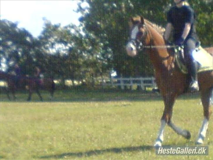 Anden særlig race Jupiter billede 13