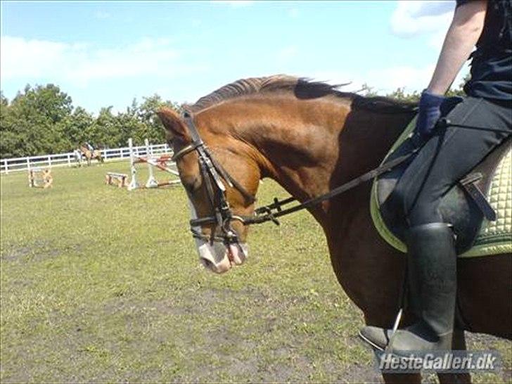 Anden særlig race Jupiter billede 14