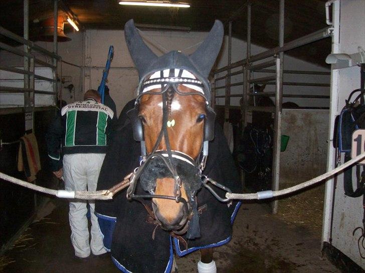 Traver Noah Østervang- solgt billede 5