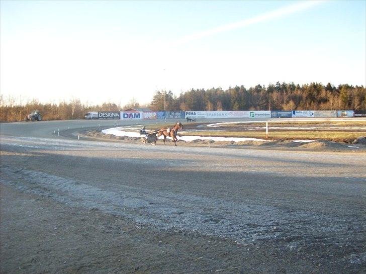 Traver Noah Østervang- solgt billede 7